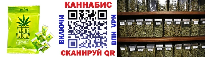 Купить закладки  Порхов  Cannafood конопля 