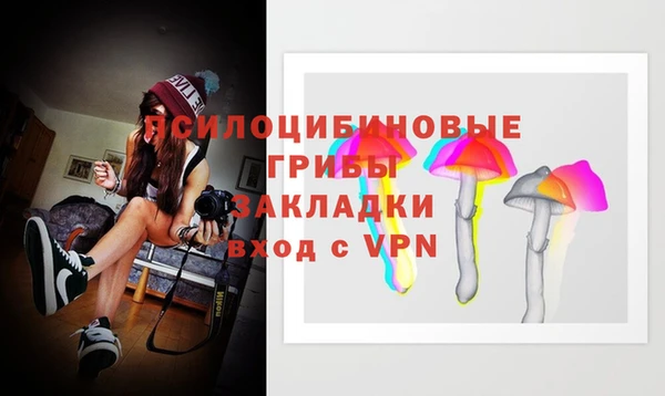 ALPHA PVP Касимов
