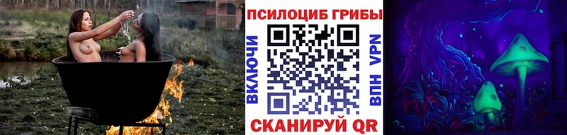 Псилоцибиновые грибы Cubensis  Купить закладки  Порхов 